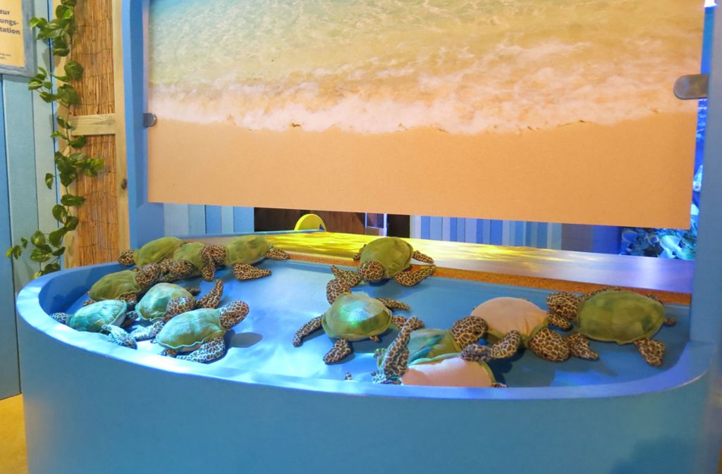 Sea Life grüne Meeresschildkröte NEU Kunststoff Marine Kreaturen Safari Ltd 10cm lang 