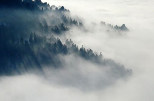 Nebel besteht aus Wolken am Boden. Foto: cafepampas/Pixabay